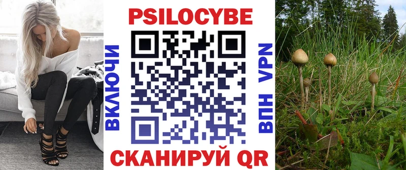 Псилоцибиновые грибы мухоморы Александровское